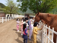 연천군 상리초등학교, 행복 승마교실 운영