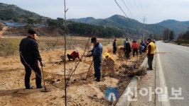 홍천 야시대1리, 마을 경관 조성 활동 실시