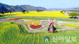 창녕군, ‘제18회 창녕 낙동강 유채축제’ 개최