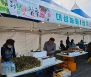 제1회 하동봄맛 참죽 체험행사 성료