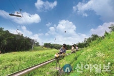 하이원리조트, 5월 가정의 달 대폭 할인 이벤트