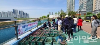 인천환경공단 청라사업소, 어버이날 맞이 카네이션 나눔 행사