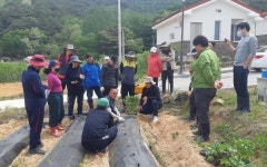 정읍시 체재형 가족실습농장서 귀농귀촌 도시민 10가구 영농체험