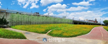 대전시, ‘3대하천 푸른물길 선도사업’ 준공