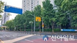안양시, 안전사고 예방 위해 이팝나무 가로수길 조성