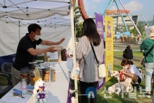 하이원리조트, ‘댕댕트레킹 2023 반려견 축제 개최