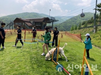 하이원리조트, ‘댕댕트레킹 2023' 반려견 축제 개최