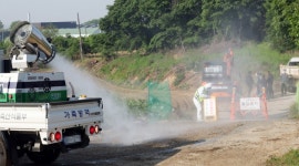 청주서 또 구제역, 11건 늘어…위기단계 심각