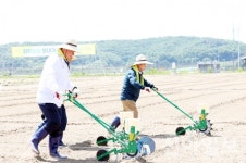 평화 농장에 희망의 씨앗을 심다… 파주시, 모내기-콩 파종 행사