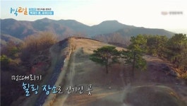 광양 4대 산성, 멍때리기 힐링 장소로 각광