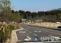 철원, 느티나무·아팝나무길 명품 가로수길 지정