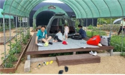 금천구, 6월부터 10월까지 ‘금천 힐링가족 캠핑농장’ 운영