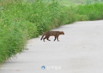 대전시, 갑천 국가습지보호지역 지정·고시... 10여 년 노력 결실