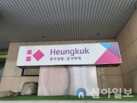 흥국생명, 더블페이암보험’ 배타적 사용권 획득