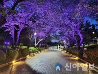 동구, 화도진공원 야간경관 사업 완료