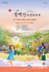 정선군, '2023 함백산 야생화축제' 29일 개막