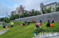 태백시 상장동 사회단체, 화단·인도변 환경정비 실시