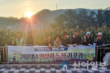 태백 황지동행정복지센터, 황부자 농장 가꾸기 옥수수 수확
