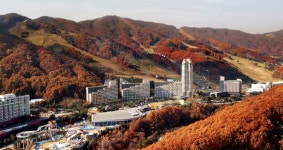 휘닉스 평창, 이른 가을 정취 만끽하는 얼리어텀 출시