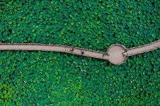 구미대표 힐링명소 ‘지산샛강생태공원’ 각광