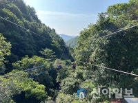 강원도 대표 체험 테마파크 홍천 가리산 레포츠파크 짚라인 새단장
