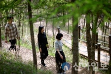 강원랜드 숲길, 산림청 ‘100대 명품숲’-‘명품숲길 50선’ 선정