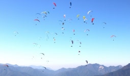 단산 문경활공랜드, 국제 패러글라이딩 챔피언십 개최