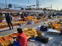 구례군, ‘구례 감’특별 직거래 장터 운영