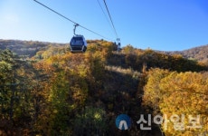 정선군, 가리왕산 케이블카 등 관광지에 여행객들 북새통