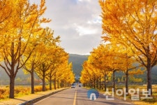 경주시, 둘레길 10개 코스 모바일 스탬프 투어 실시