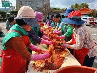 익산 웅포면 새마을부녀회, 취약계층에 김장김치 500포기 전달
