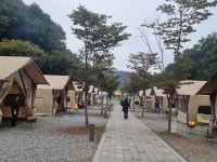 강동구와 가을 캠핑 떠난 취약계층 가족들