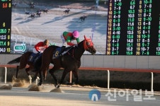 렛츠런파크 부산경남, 제16회 경남도민일보배 ‘백두의꿈’ 2세마 여제 등극