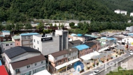 정선군, 고한읍에 야생화마을 추리본부 인기↑