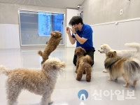 서초구, 설 연휴기간 반려견 돌봄쉼터 운영