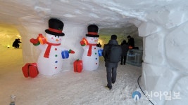 태백산 눈축제, 대형 이글루 카페 인기 아주 좋아요