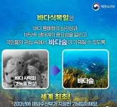 포항서 제12회 바다식목일 기념행사 열린다