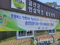 금산군, 2024년 금산인삼약초시장 홍보매니저 모집