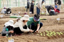 성동구, 무지개텃밭‧다산농원 분양
