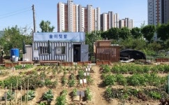 도시농부 대모집 송파구, 주말농장 솔이텃밭 분양