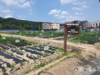 대전시, 복용동 공영도시농업농장 총 350구획… OK예약서비스로 추첨