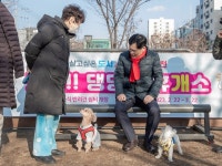 양천구, 어르신의 벗 반려동물 의료비 지원…최대 40만 원