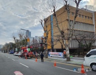 대전시, 명품 가로수로 환경조성
