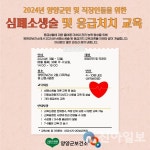 양양군, 찾아가는 심폐소생술 및 응급처치 교육 실시