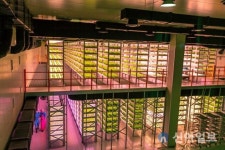 산단 내 수직농장 조성 허용…규제 개선 추진