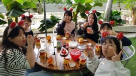 연천군 화진초, 모아베리 교육농장서 딸기 수확하기 체험