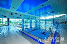 영월군 수영연맹, 제1회 영월군연맹회장배 수영대회 20일 개최