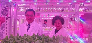 대전시, 테마형 대전팜 개장