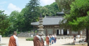 충남도, 부처님 오신 날... 산사로 떠나는 여행 추천