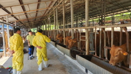 연천, 한우 청년농가 전문가 종합컨설팅 실시